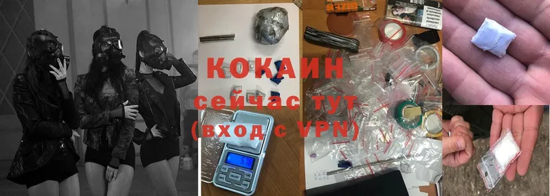 shop телеграм  где продают наркотики  Киселёвск  Cocaine VHQ  ссылка на мегу вход 